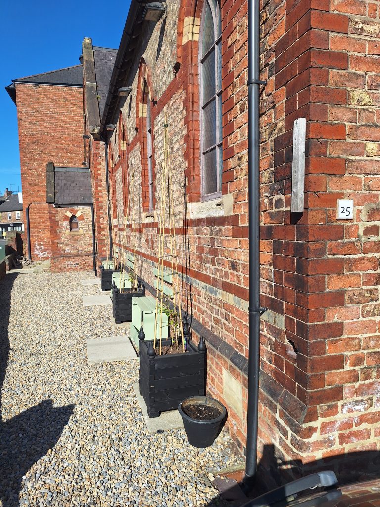 Newly installed seating and planters